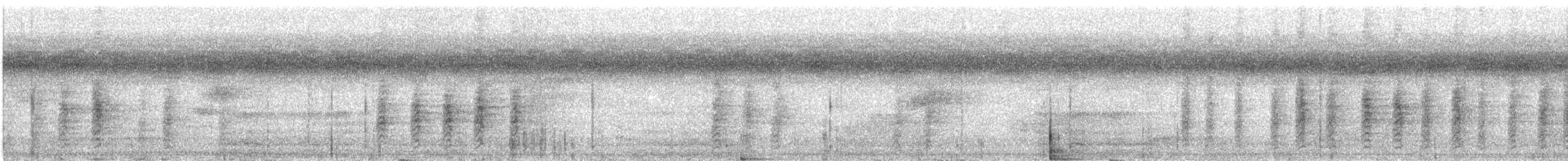 Méliphage foulehaio - ML614165360