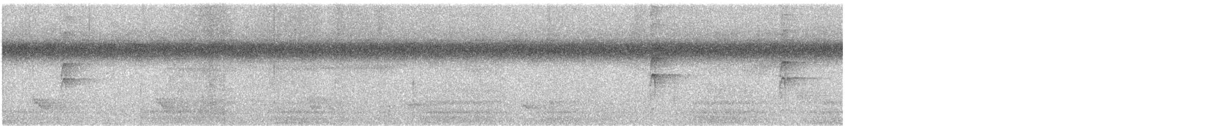 Самоанская веерохвостка - ML614169087
