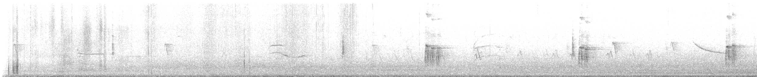 strakapoud bělohlavý - ML614171202