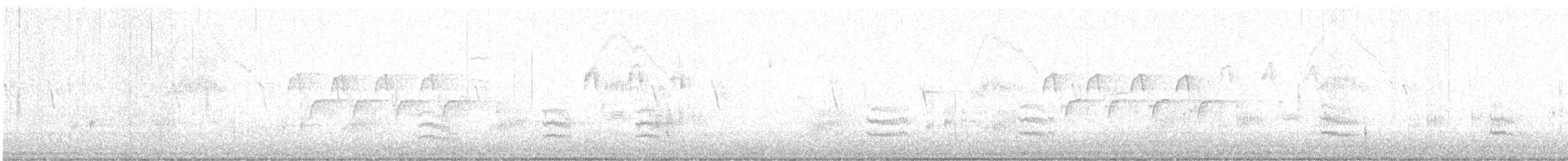 Weißbrustkleiber (aculeata/alexandrae) - ML614172938