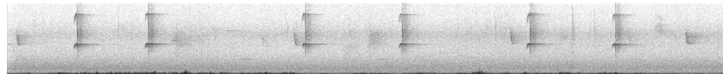 Colibri géant - ML614173298