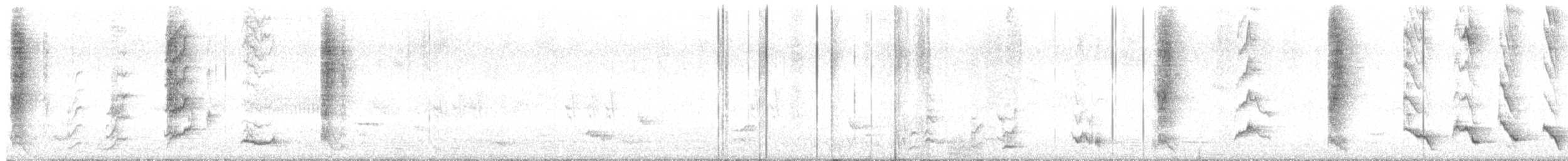 Méliphage carillonneur - ML614173373