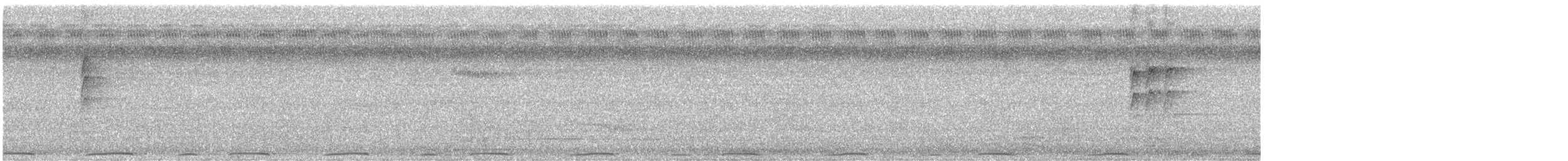 Самоанская веерохвостка - ML614174863