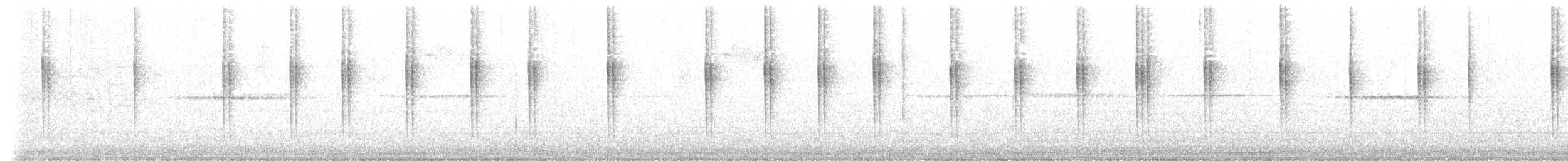 Горная широкохвостка (robustipes) - ML614174922
