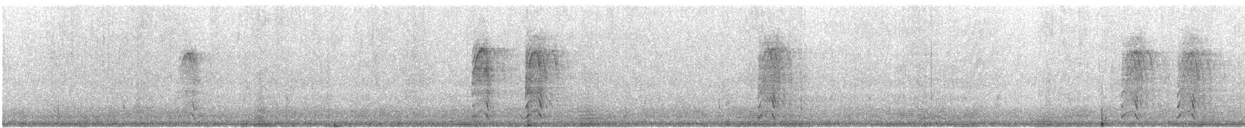カラフトフクロウ（lapponica） - ML614175326