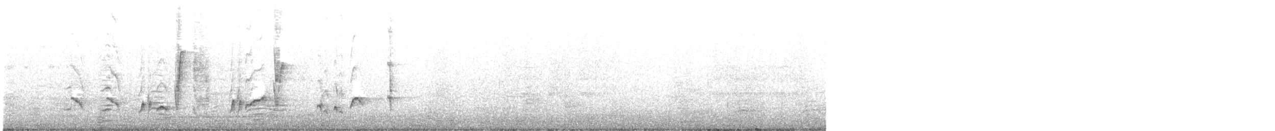Curve-billed Thrasher - ML614178135