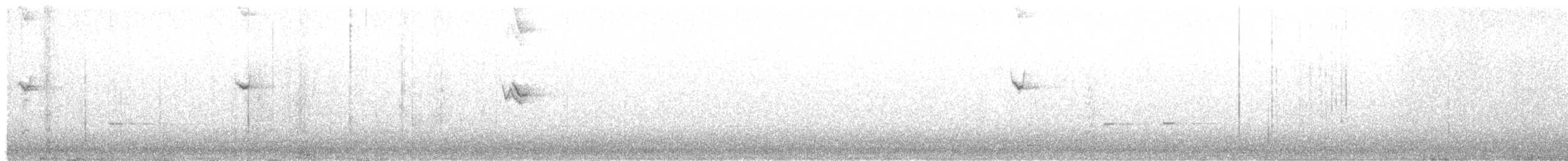 rosela zpěvavá - ML614180130