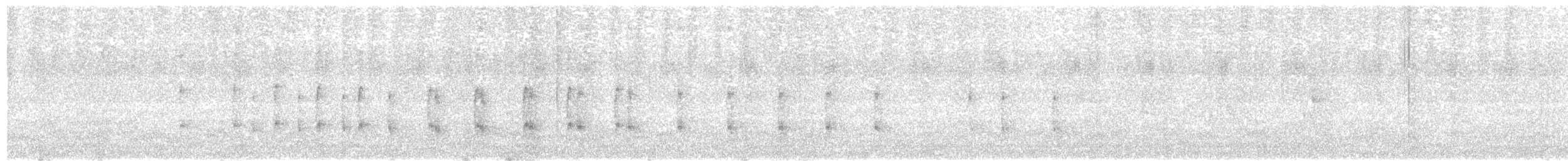 Microtyran oreillard - ML614182714