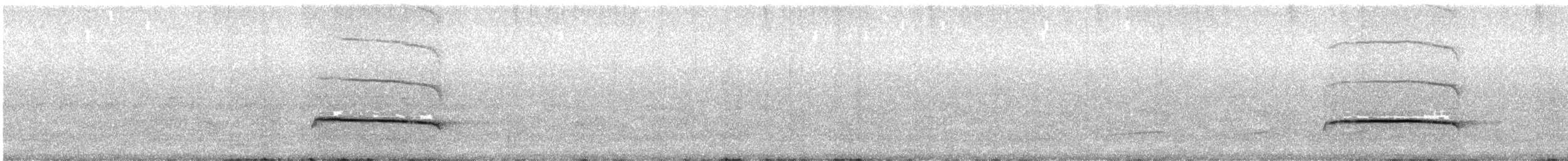 Large-tailed Antshrike - ML614184563