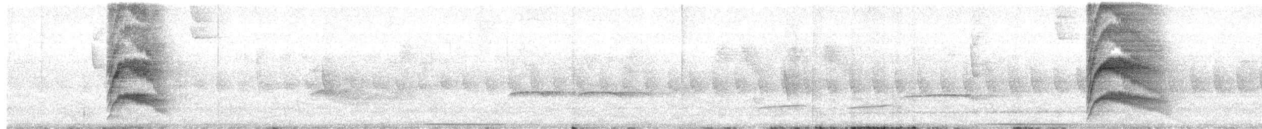Large-tailed Antshrike - ML614184564