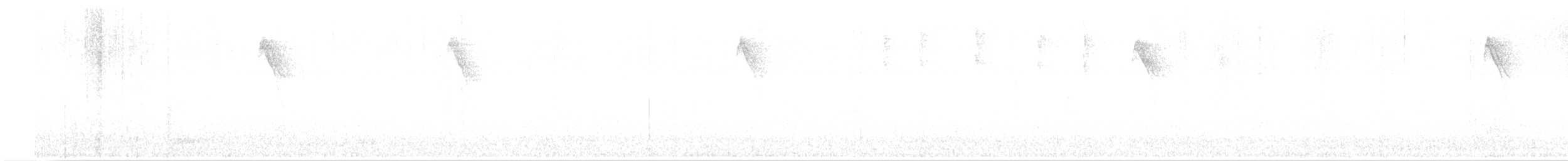 Колібрі-янгол синьогрудий - ML614186615