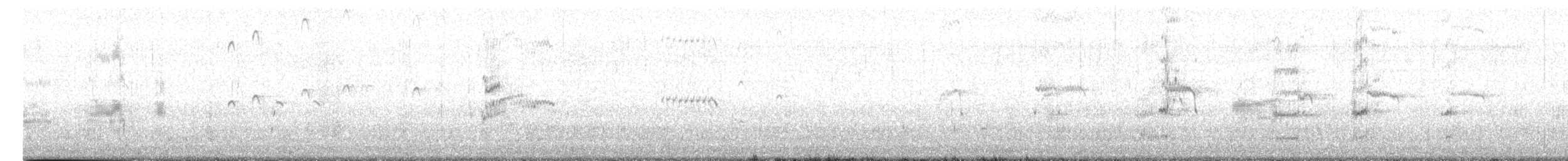 Royal Tern - ML614187442