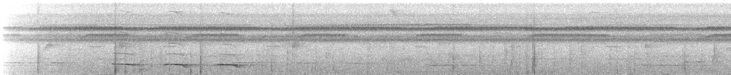 Kuzeyli Kara Gerdanlı Trogon - ML614188227
