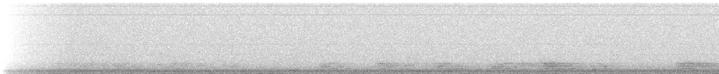 tanımsız kaz (Anser/Branta sp.) - ML614191211