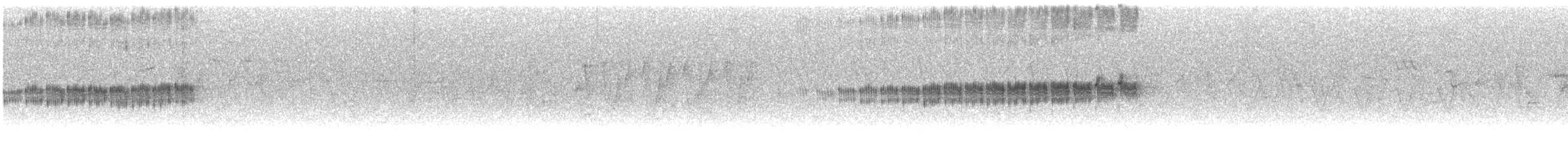 Plumbeous Redstart - ML614191916