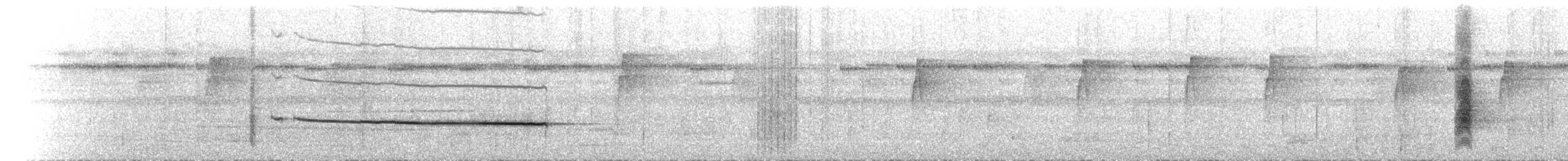 メンガタカササギビタキ（nigrimentum） - ML614192026