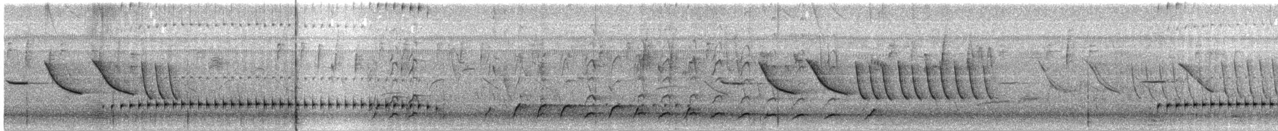 Olivscheitel-Bandvogel - ML614192119