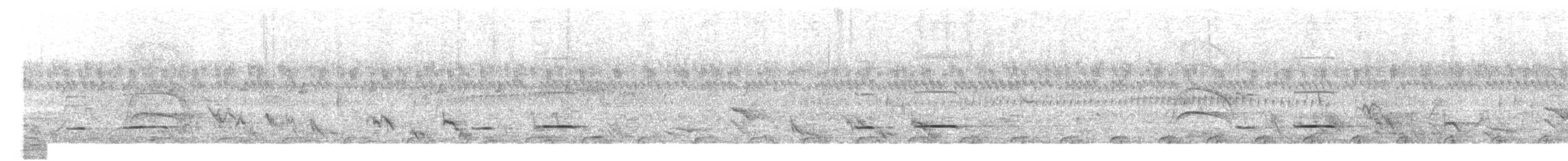 Striped Cuckoo - ML614193251