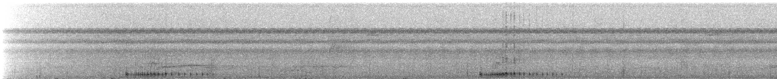 Ібіс каєнський - ML614194979
