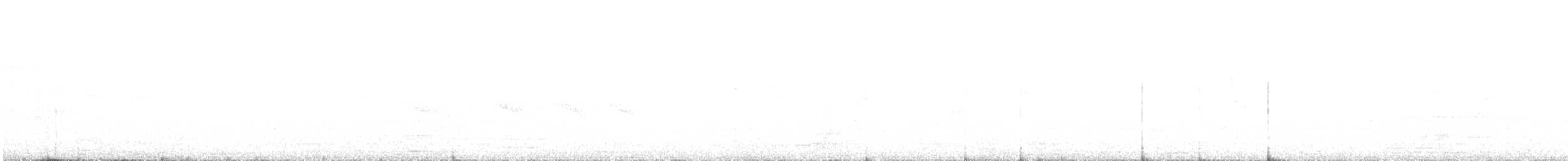 Тиранчик-тонкодзьоб південний - ML614196911