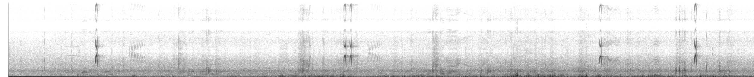 Wilson's Plover - ML614202591