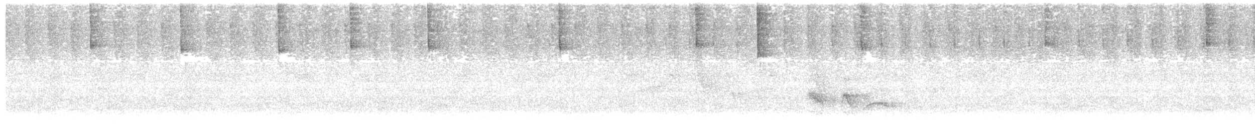 Gelbschnabel-Buschammer (flavirostris) - ML614204437