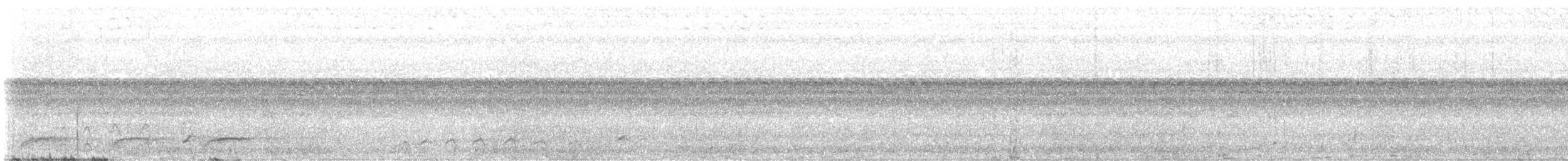 Bändernachtschwalbe - ML614204721