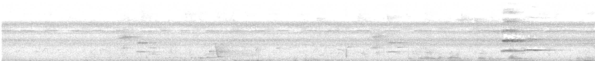 svartkronet hvitbukpapegøye - ML614205874