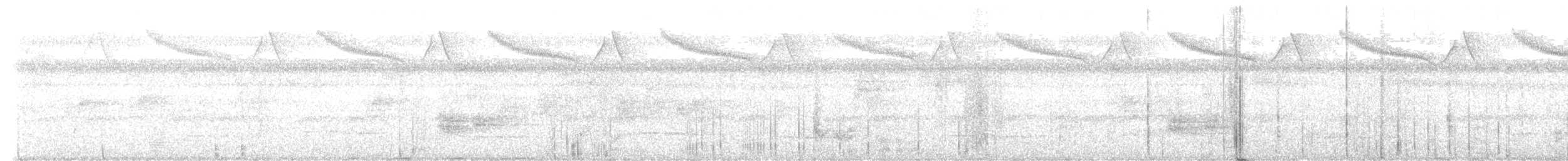 gråvingetrompetfugl - ML614205909