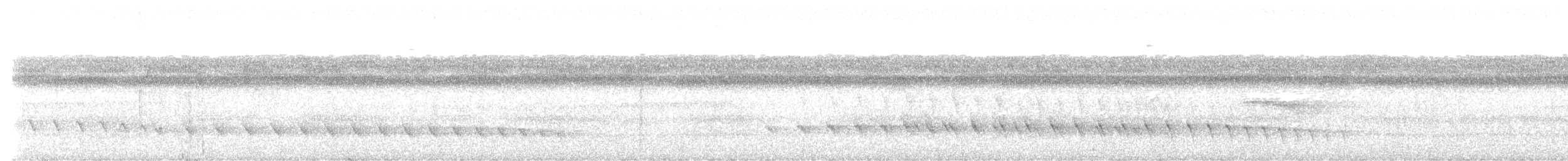 Weißkehl-Ameisenschlüpfer - ML614205943
