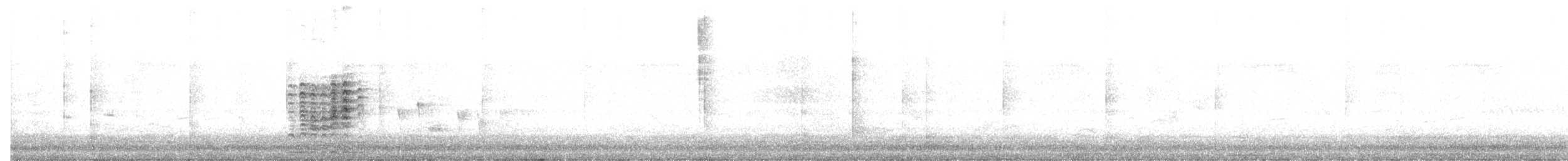 Australasian Grebe - ML614211333