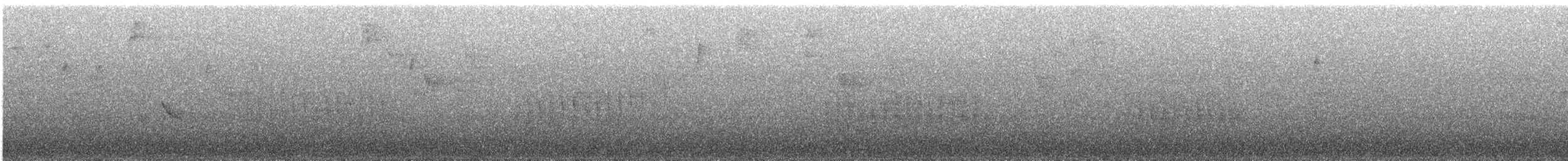 Полосатая пипра - ML614211356