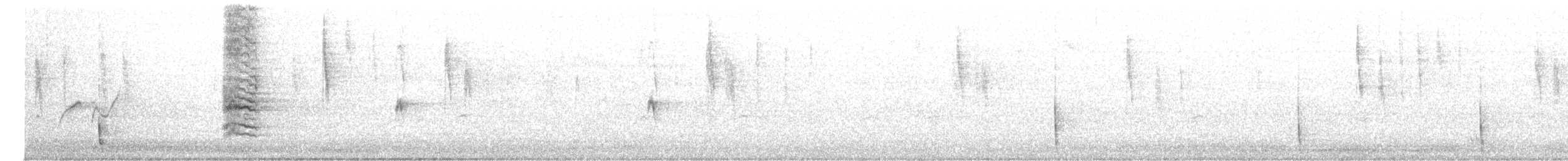 hvitpannehonningeter - ML614217256