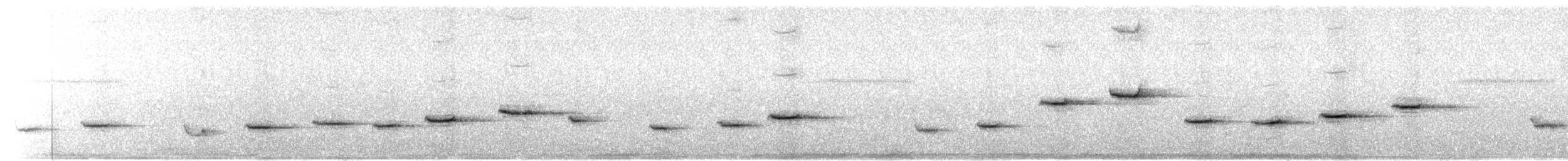 Troglodyte philomèle - ML614220939