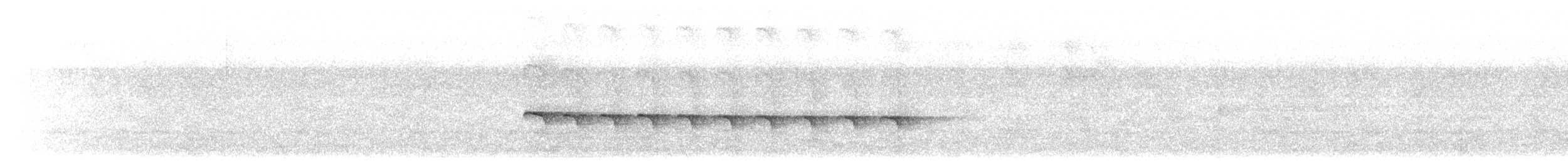 Zeledon Karıncakuşu - ML614224168