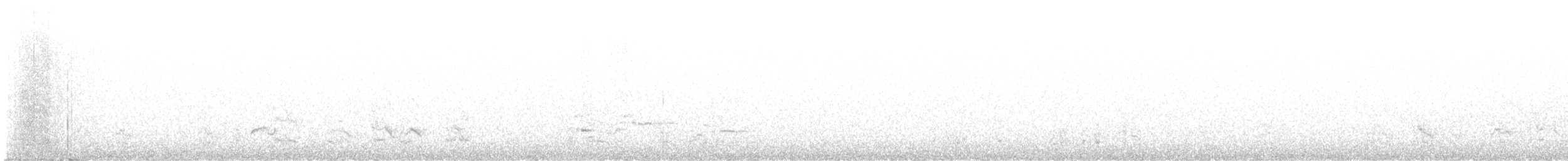 Amazona Mercenaria - ML614225530