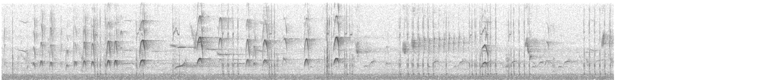 Red-cockaded Woodpecker - ML614227585