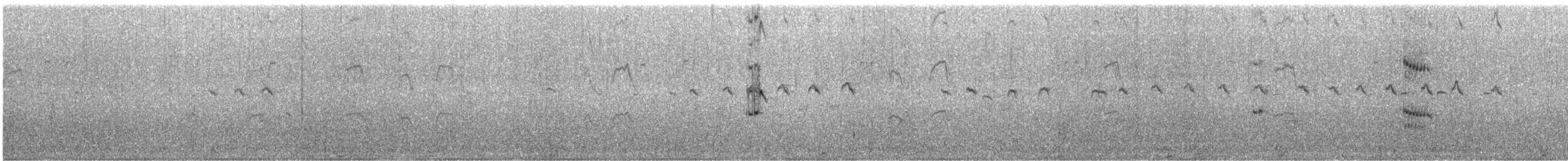 Brandseeschwalbe (acuflavidus) - ML614228194