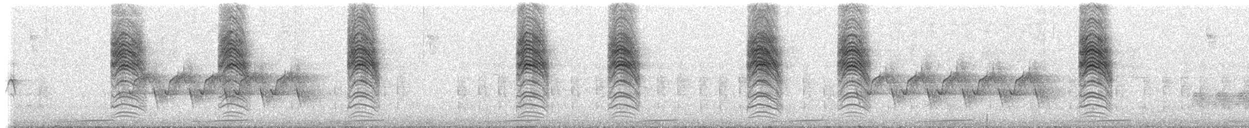 leskot yukatanský - ML614230543