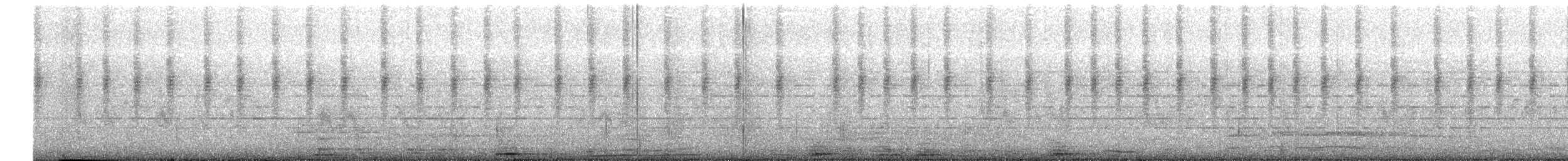 Dusky Hummingbird - ML614230608