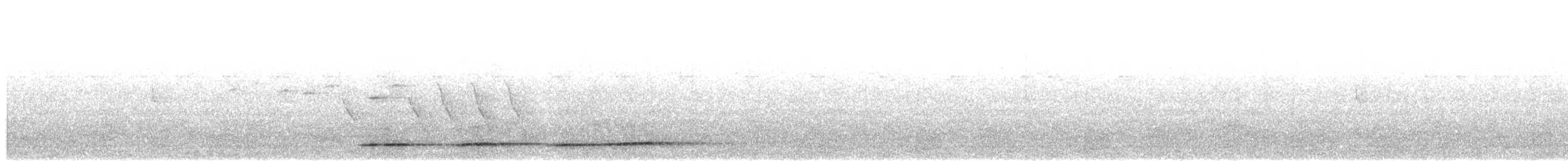 Undulated Tinamou - ML614231312
