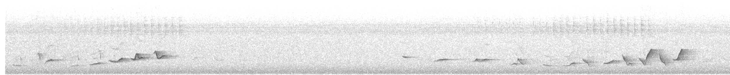 Gray Whistler (Brown) - ML614232392