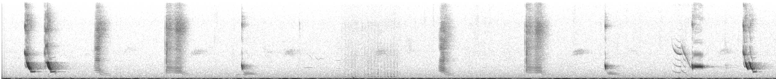 Méliphage carillonneur - ML614234126