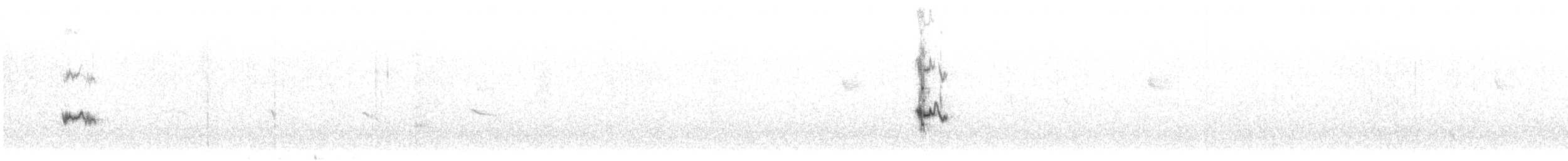 Уздечковый овсяночник (xanthogramma) - ML614236617