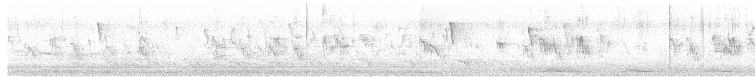 halsbåndfrankolin (henrici gr.) - ML614240274