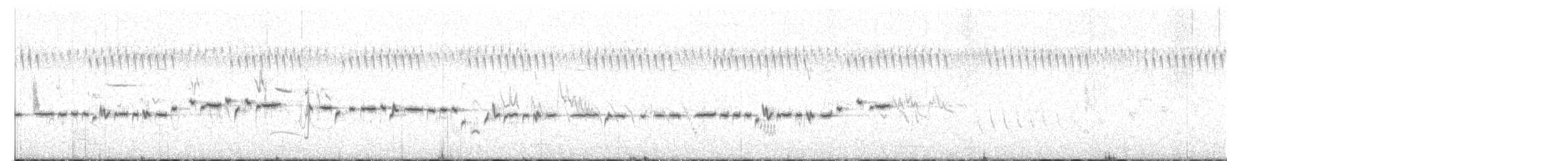 Gérygone de Nouvelle-Zélande - ML614240580