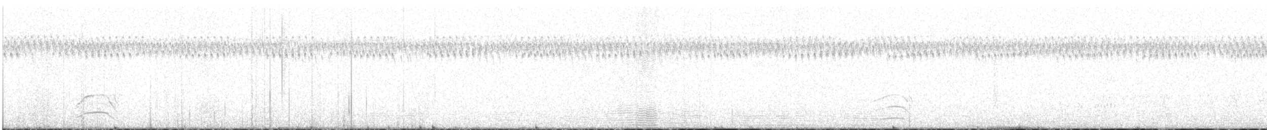 moták tichomořský - ML614241006