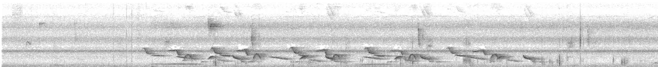 Чернобрюхий крапивник - ML614244956