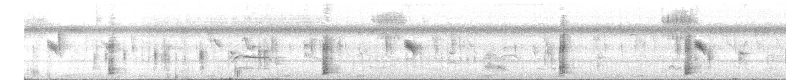 Krähenstirnvogel - ML614245084
