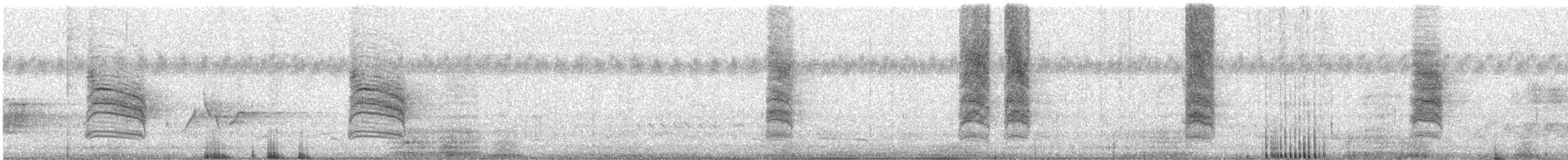 クロオビミツスイ - ML614249245